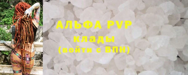 хмурый Арсеньев