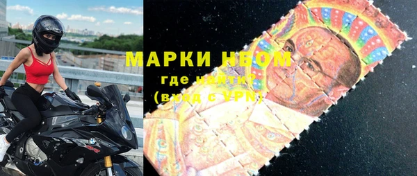 хмурый Арсеньев