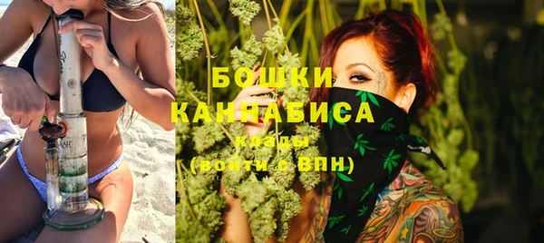 хмурый Арсеньев