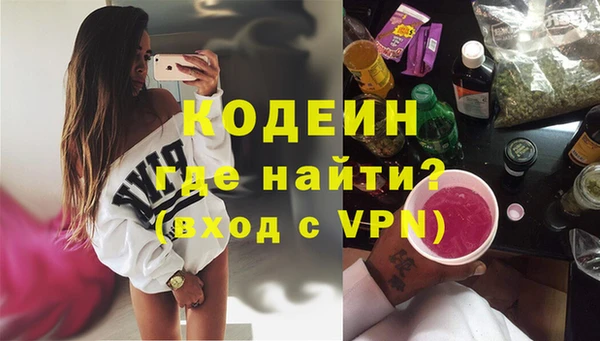 хмурый Арсеньев